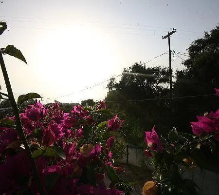 Summer Dream & * Agios Gordios (Corfu)